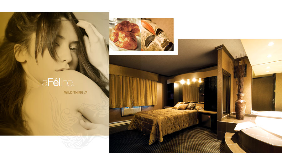 Motel Capri et Suites | 658 Rue Notre-Dame, Repentigny, QC J6A 2W3, Canada | Phone: (450) 581-2282