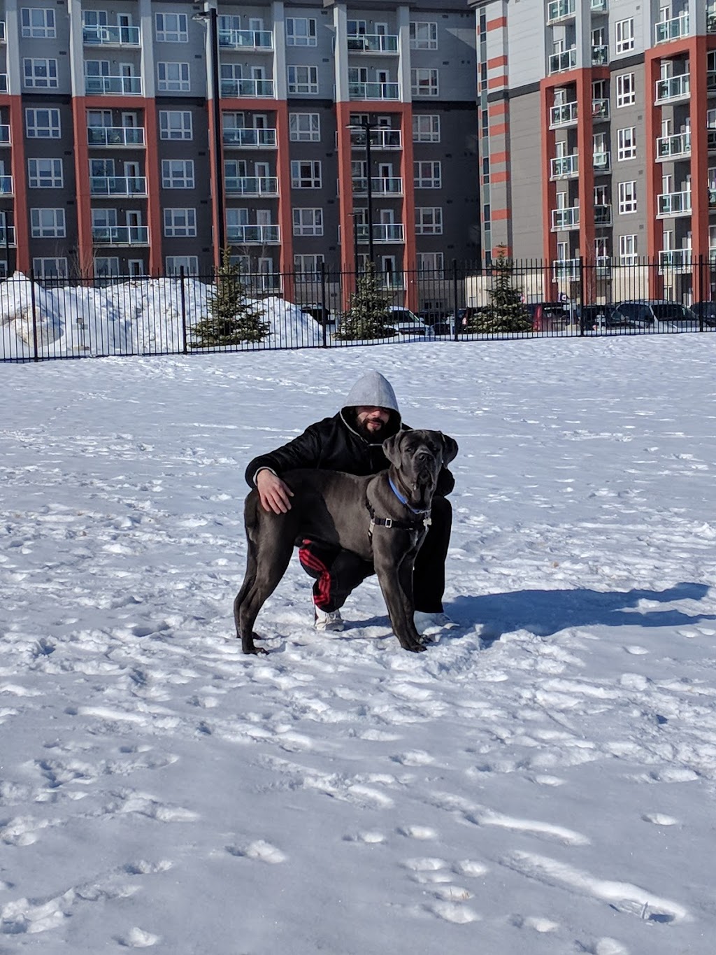 Devonshire Village Dog Park | Cal Gardner Dr, Winnipeg, MB R2C 4M4, Canada