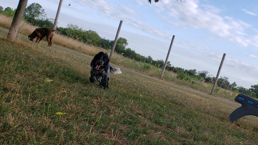 BFF, Prince Edward County | 1450 County Rd 19, Consecon, ON K0K 1T0, Canada | Phone: (647) 390-7257
