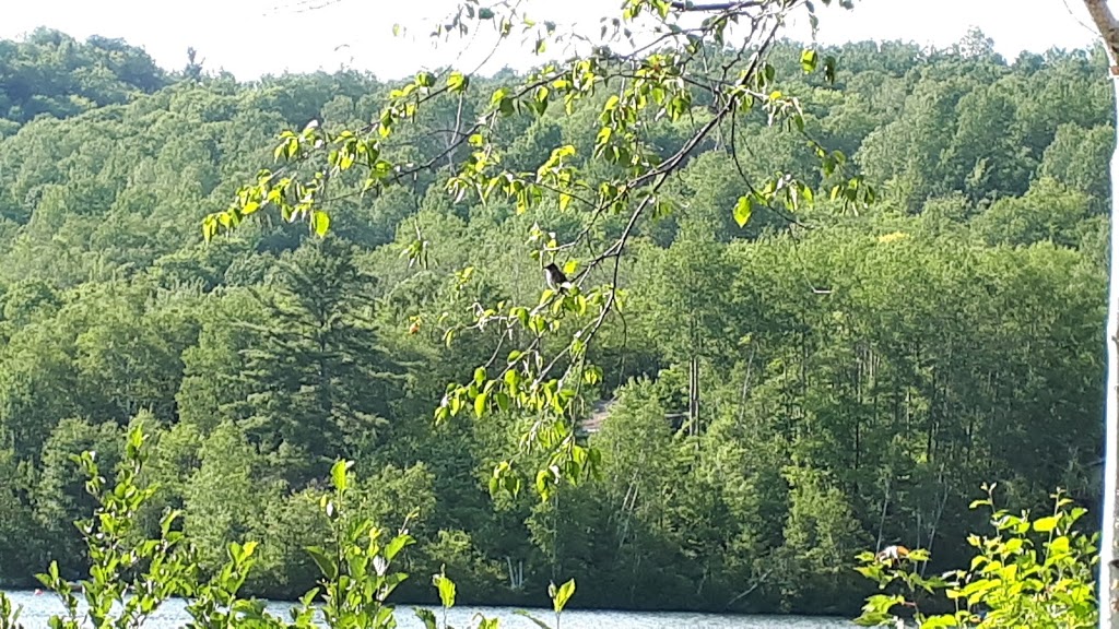 Auberge Lac Tomas | 200 Chemin du Golf, Saint-Didace, QC J0K 2G0, Canada
