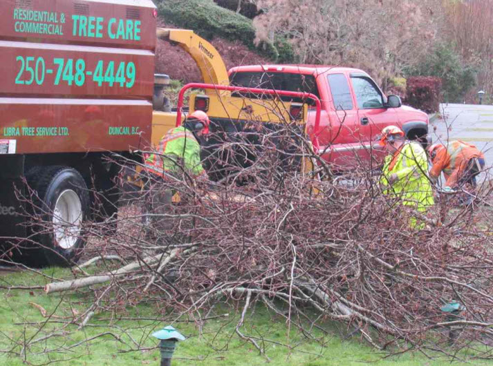 Libra Tree Services Ltd | 4945 Waters Rd, Duncan, BC V9L 6S9, Canada | Phone: (250) 748-4449