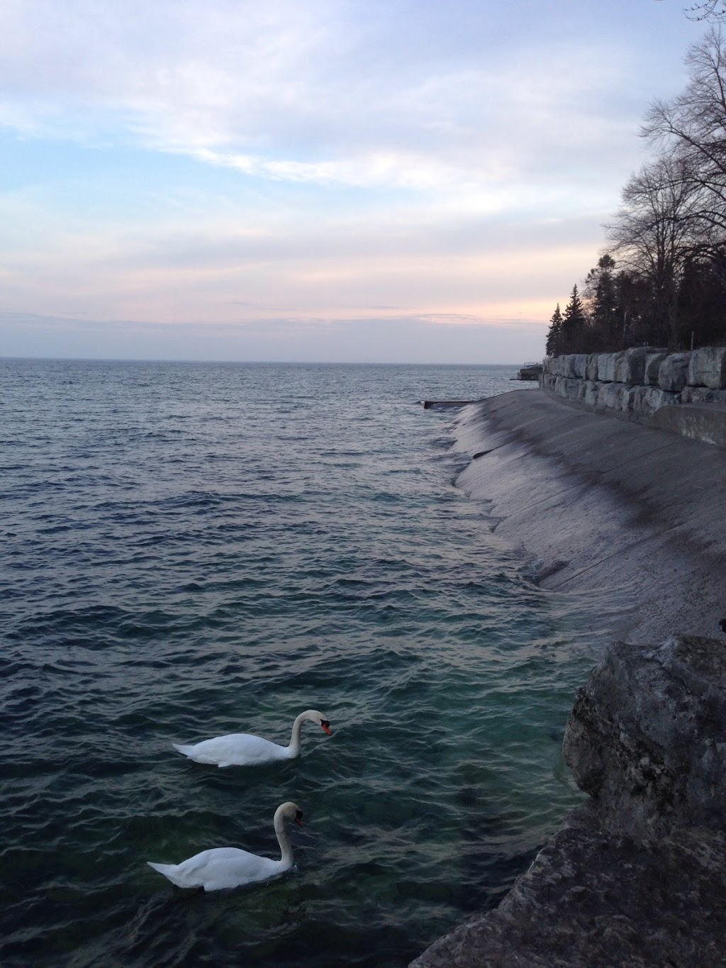 Lake Crescent Road End Parkette | 55 Lake Crescent, Toronto, ON M8V 2P3, Lake Crescent Park, 55 Lake Crescent, Etobicoke, ON M8V 2P3, Canada