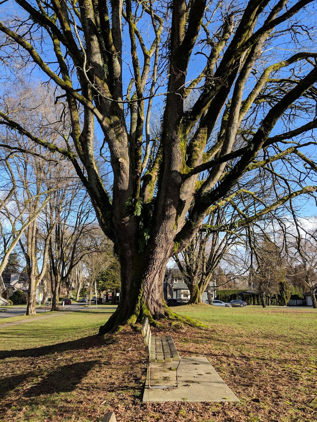 Braemer Park | 895 W 27th Ave, Vancouver, BC V5Z 2G8, Canada | Phone: (604) 873-7000