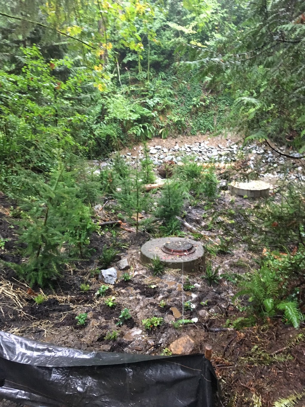 Alyon Reclamation Inc. | 26362 Dewdney Trunk Rd, Maple Ridge, BC V2W 1A1, Canada | Phone: (604) 880-3814