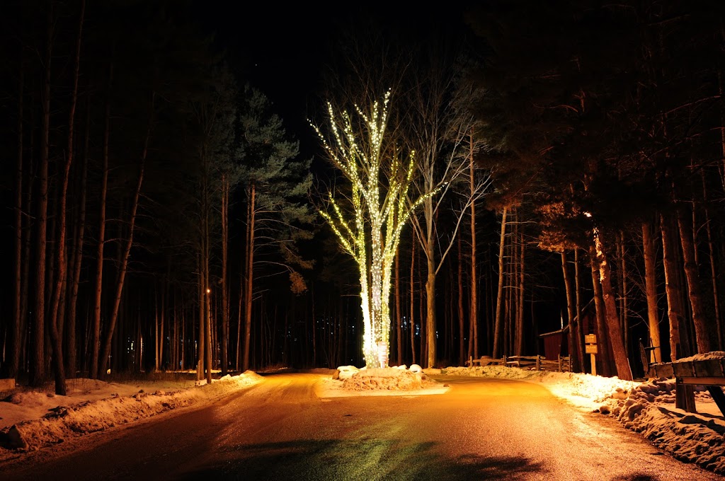 Christmas Decor Collingwood | 496895 Grey County Rd 2, Thornbury, ON N0H 2P0, Canada | Phone: (519) 599-2957