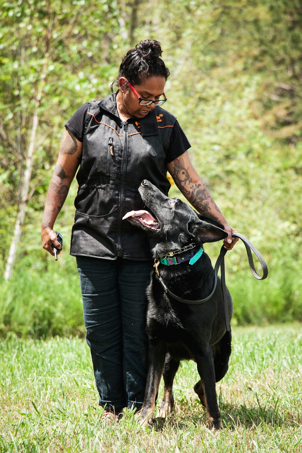 Duo Dog Training | 98 William St #208, Mississauga, ON L5M 1J5, Canada | Phone: (647) 219-5634