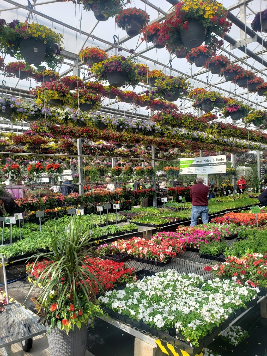 Capogna Flowers | 2078 Talbot Rd, Kingsville, ON N9Y 2E4, Canada | Phone: (519) 326-8840