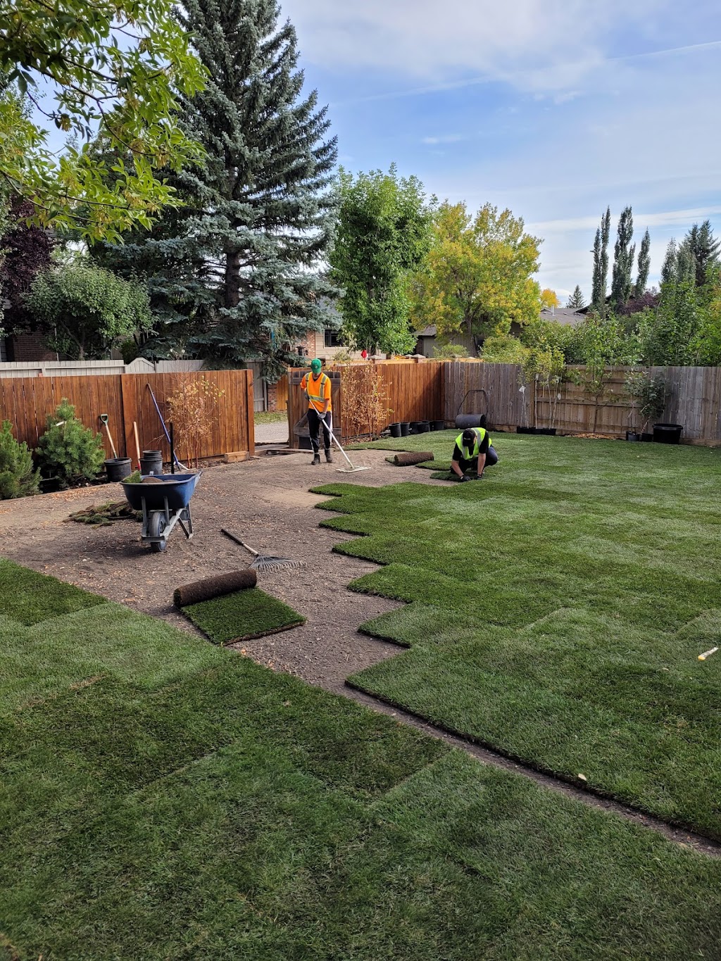 Eco-Land tree services and landscaping LTD | 119 Coachway Rd SW, Calgary, AB T3H 1B2, Canada | Phone: (587) 966-1905