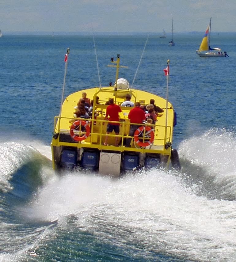 Shark Attack Tours | 249 Queens Quay W, Toronto, ON M5J 2N5, Canada | Phone: (416) 410-0536