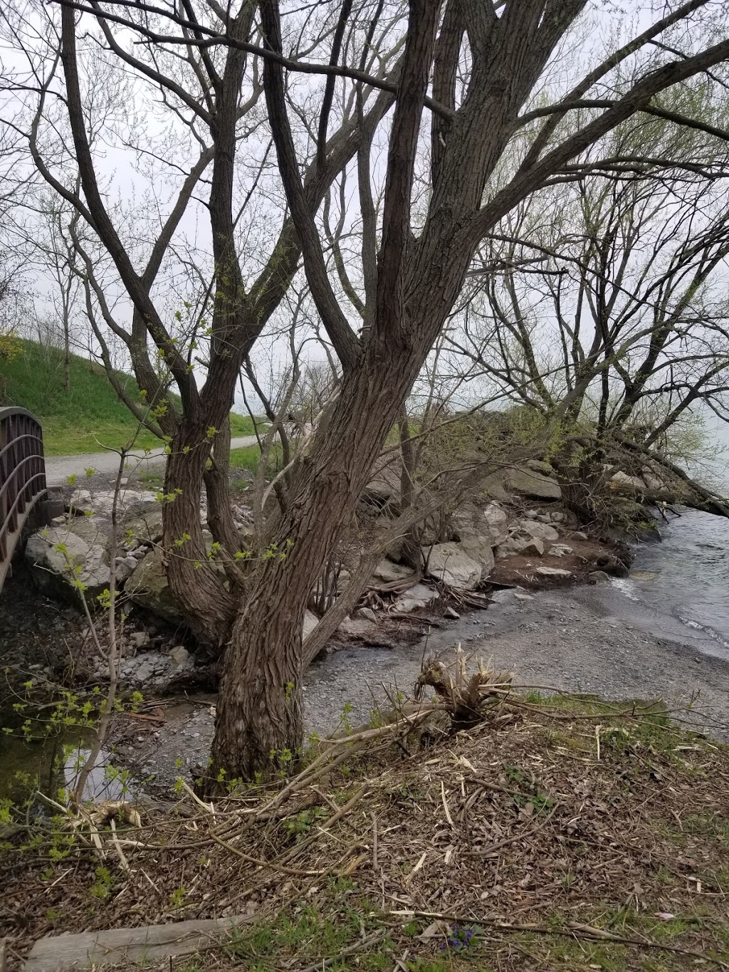 Spring Gardens Park | St. Catharines, ON L2N, Canada
