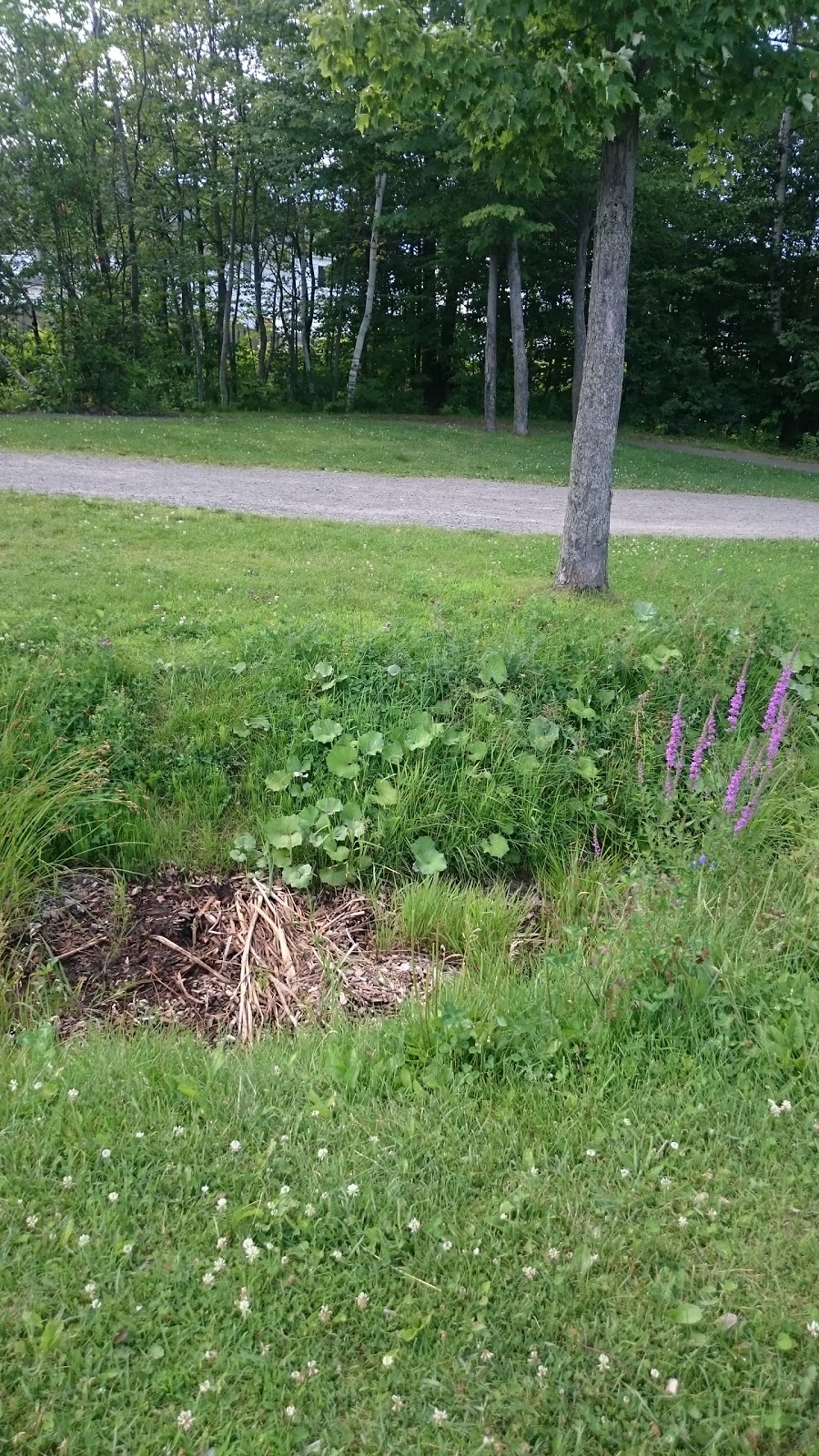Parc de la Source | 450 Boulevard de la Salette, Saint-Jérôme, QC J5L 2J1, Canada | Phone: (450) 569-5000