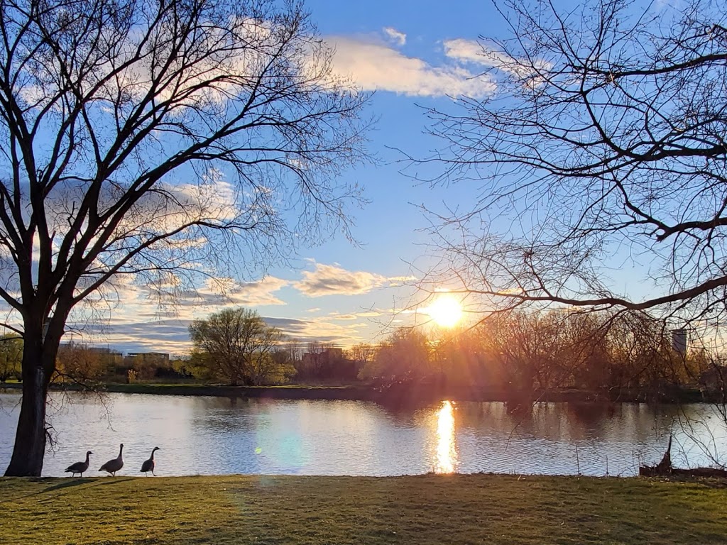Brewer Park | 100 Brewer Way, Ottawa, ON K1S 5T1, Canada | Phone: (613) 247-4938