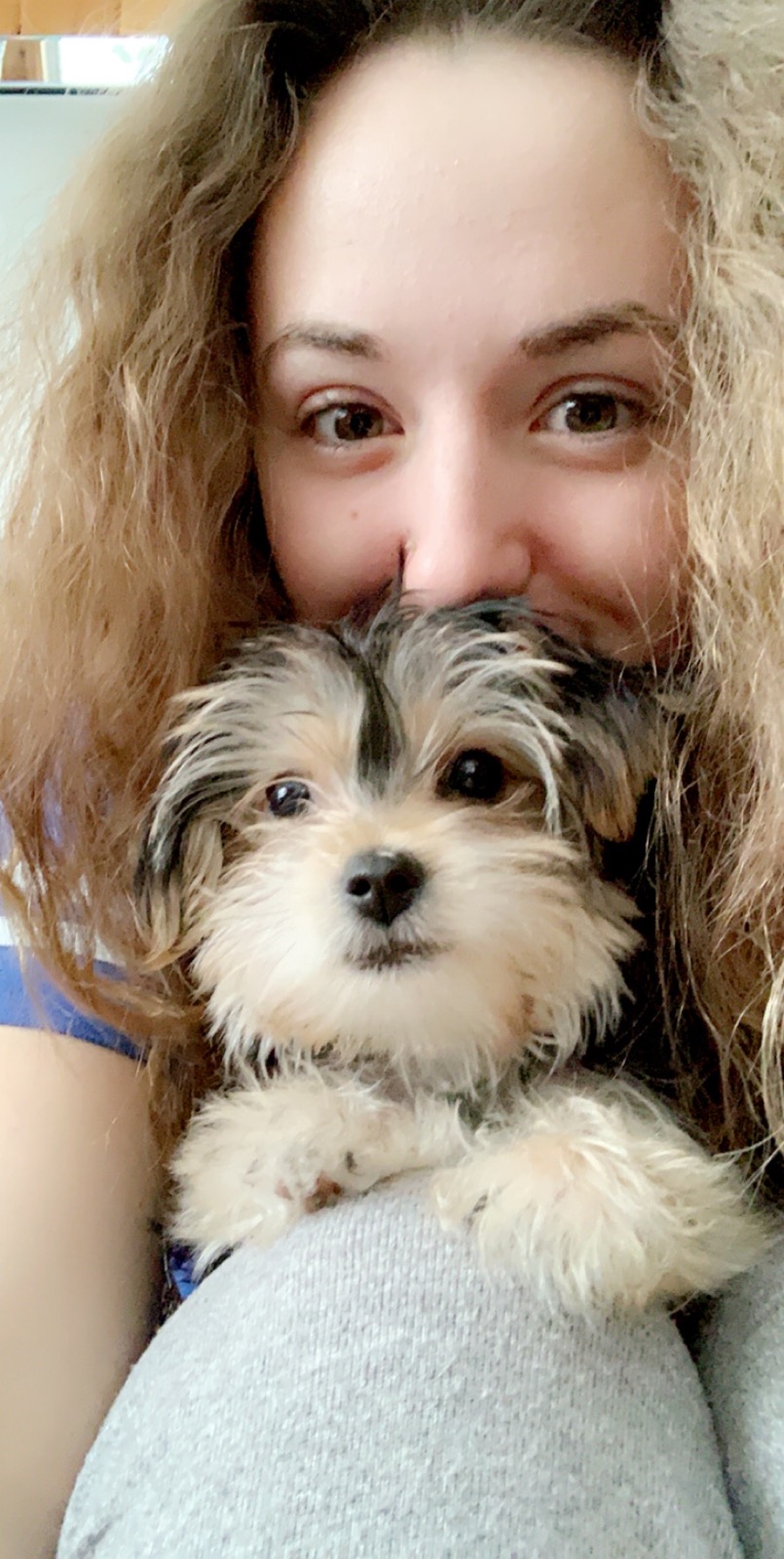 Andreas Pet Salon | 38 Bay St, Barrys Bay, ON K0J 1B0, Canada | Phone: (613) 602-6599