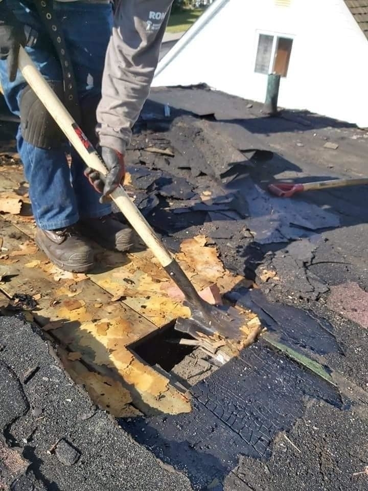 Flash Construction | 9 Bertona St, Nepean, ON K2G 0W3, Canada | Phone: (343) 987-4686