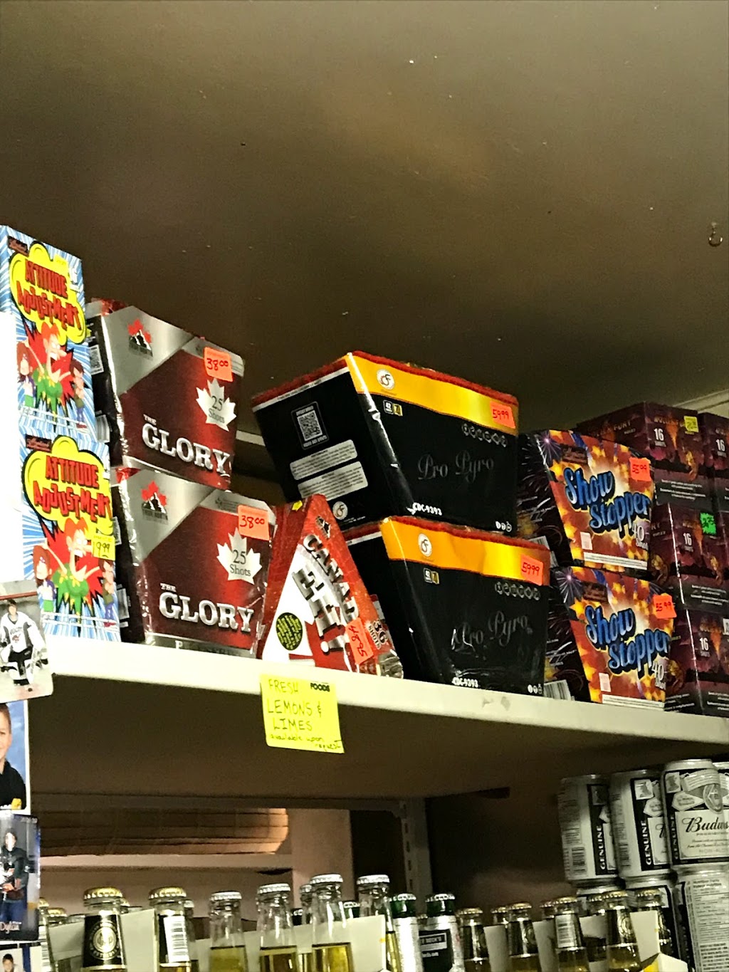 Adams Lake Store | 8774 Holding Rd, Chase, BC V0E 1M2, Canada | Phone: (250) 679-8904