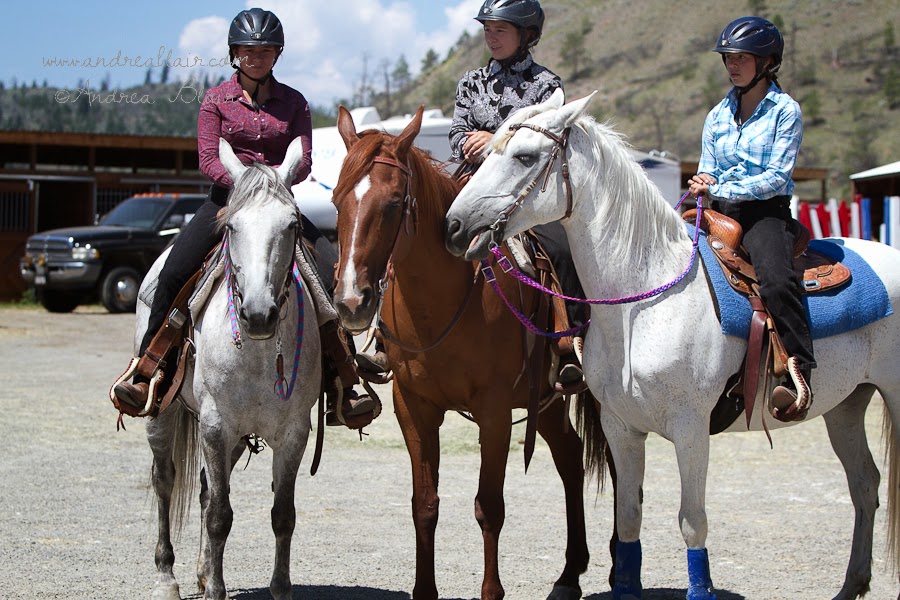 Horse Council BC | 27336 Fraser Hwy, Langley Twp, BC V4W 3N5, Canada | Phone: (604) 856-4304