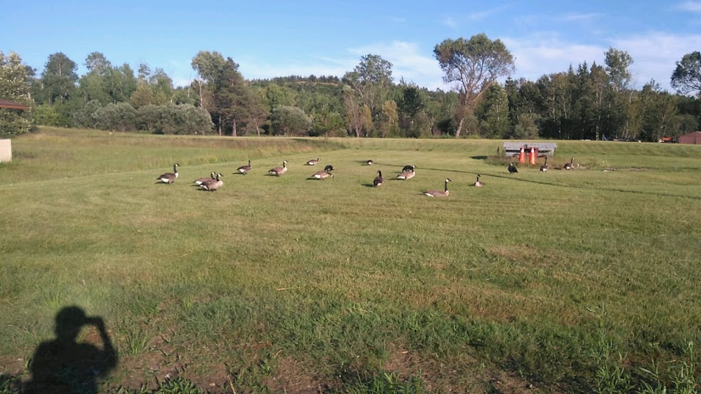Mine Mill Local 598 / CAW Campground | 2550 Richard Lake Dr, Sudbury, ON P3G 0A3, Canada | Phone: (705) 522-5076
