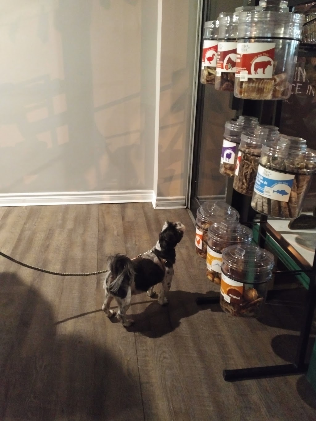 The Local Kibblery: Pet Emporium | 896 Eglinton Ave W, Toronto, ON M6C 2B6, Canada | Phone: (416) 901-3647