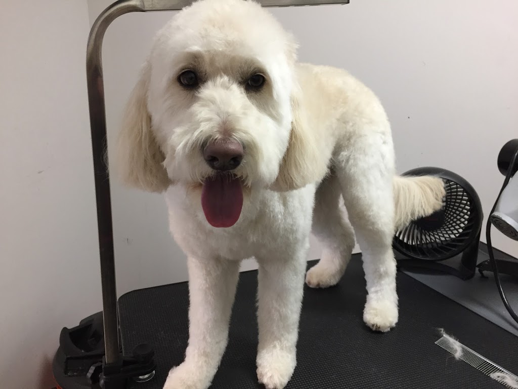 The Hounds On Merivale | 1014 Merivale Rd, Ottawa, ON K1Z 6A5, Canada | Phone: (613) 728-2951