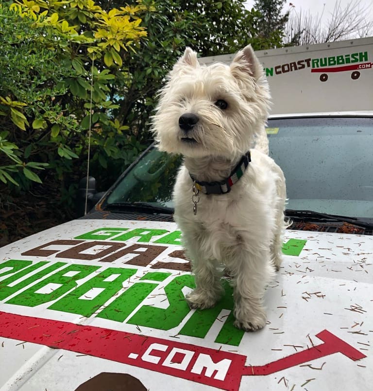 Green Coast Rubbish | 1991 Deep Cove Rd, North Vancouver, BC V7G 1S7, Canada | Phone: (604) 230-4530