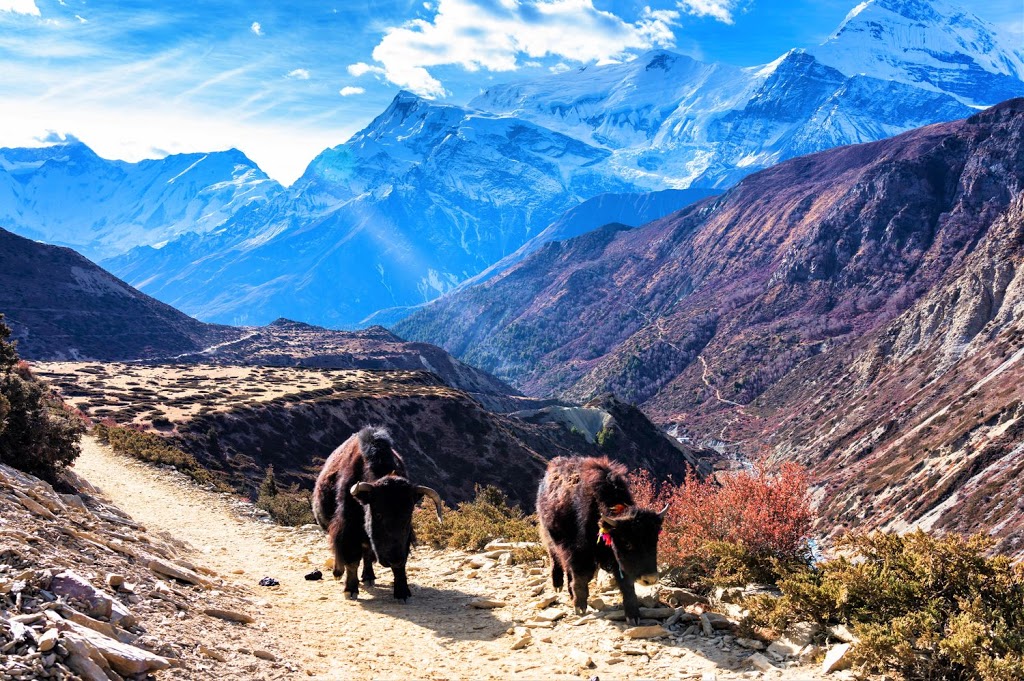 Hannah Travel, Travel Agency in London Ontario, Call Now For Che | 25 Oxford St W, London, ON N6H 1R2, Canada | Phone: (519) 601-7222