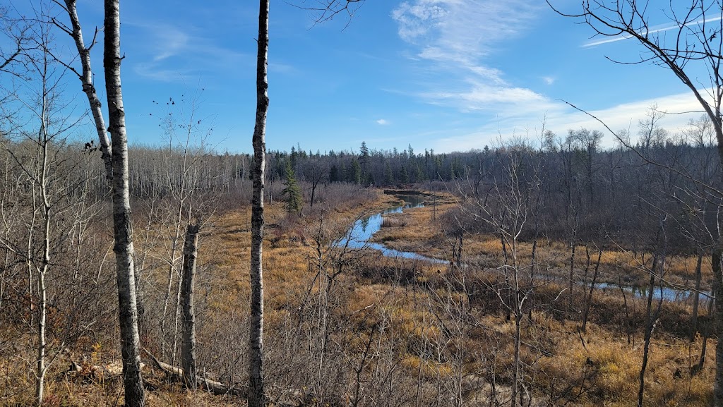 Sandilands Forest Discovery Centre | 67094 Road 68E, Hadashville, MB R0E 0X0, Canada | Phone: (204) 453-3182