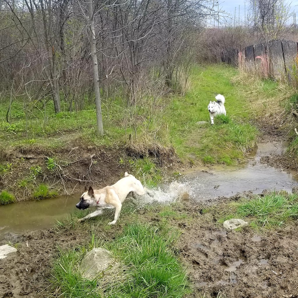 Hamilton Burlington SPCA | 245 Dartnall Rd, Hamilton, ON L8W 3V9, Canada | Phone: (905) 574-7722