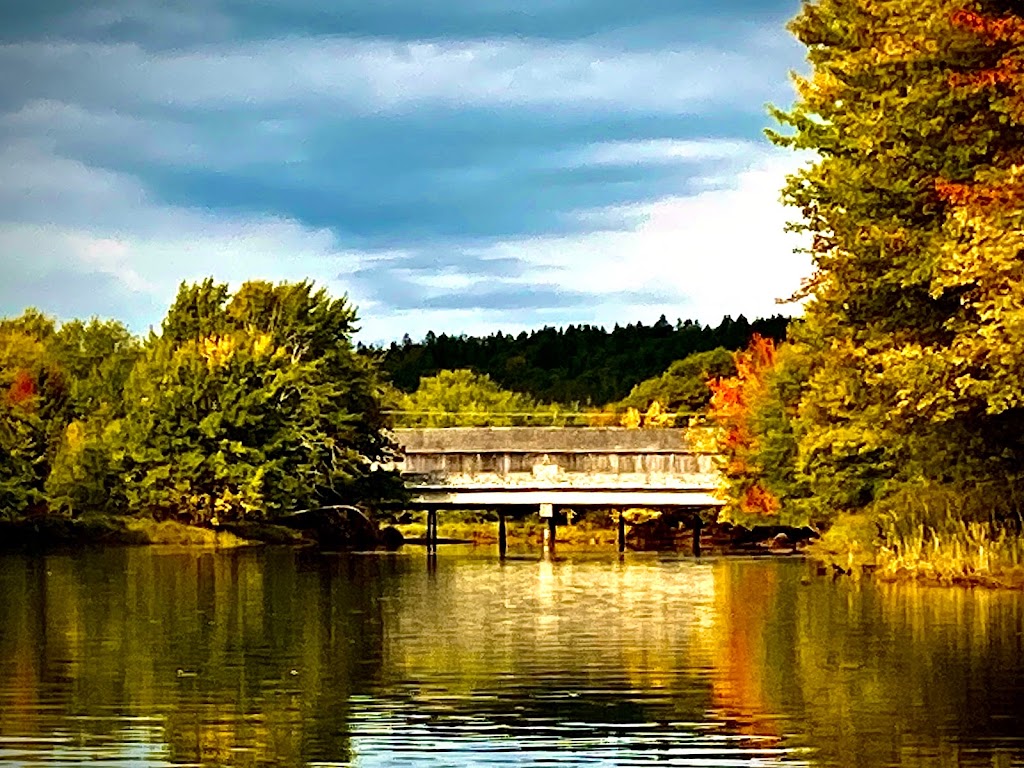 Darlings Island Rentals | 6S1, 117 Darlings Island Rd, Darlings Island, NB E5N 6S2, Canada | Phone: (506) 608-4239