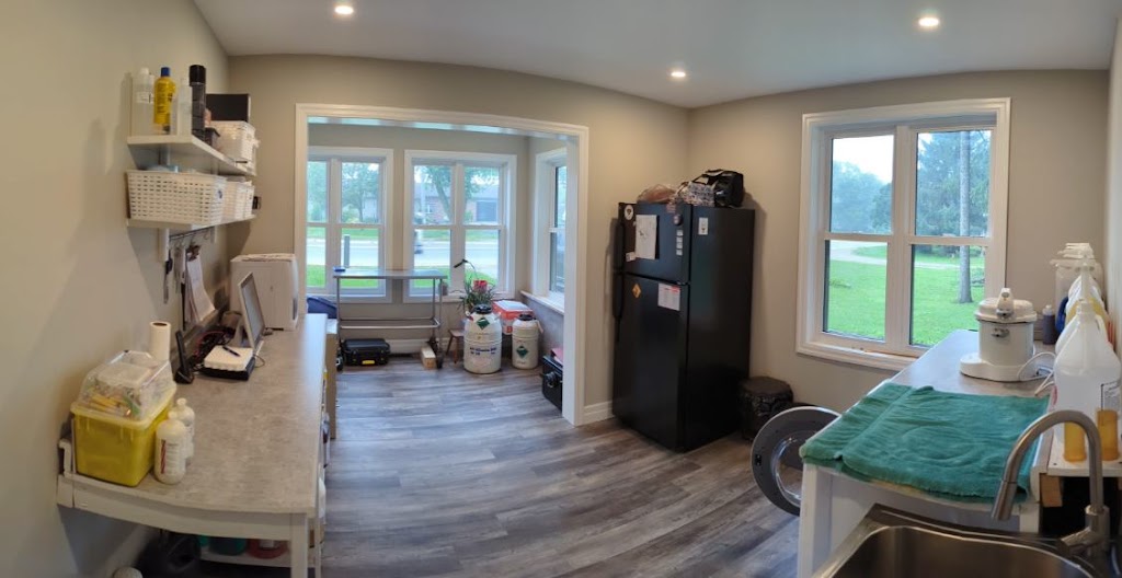 Crawford Veterinary Services | 6994 Perth Road 164, Atwood, ON N0G 1B0, Canada | Phone: (519) 292-8834