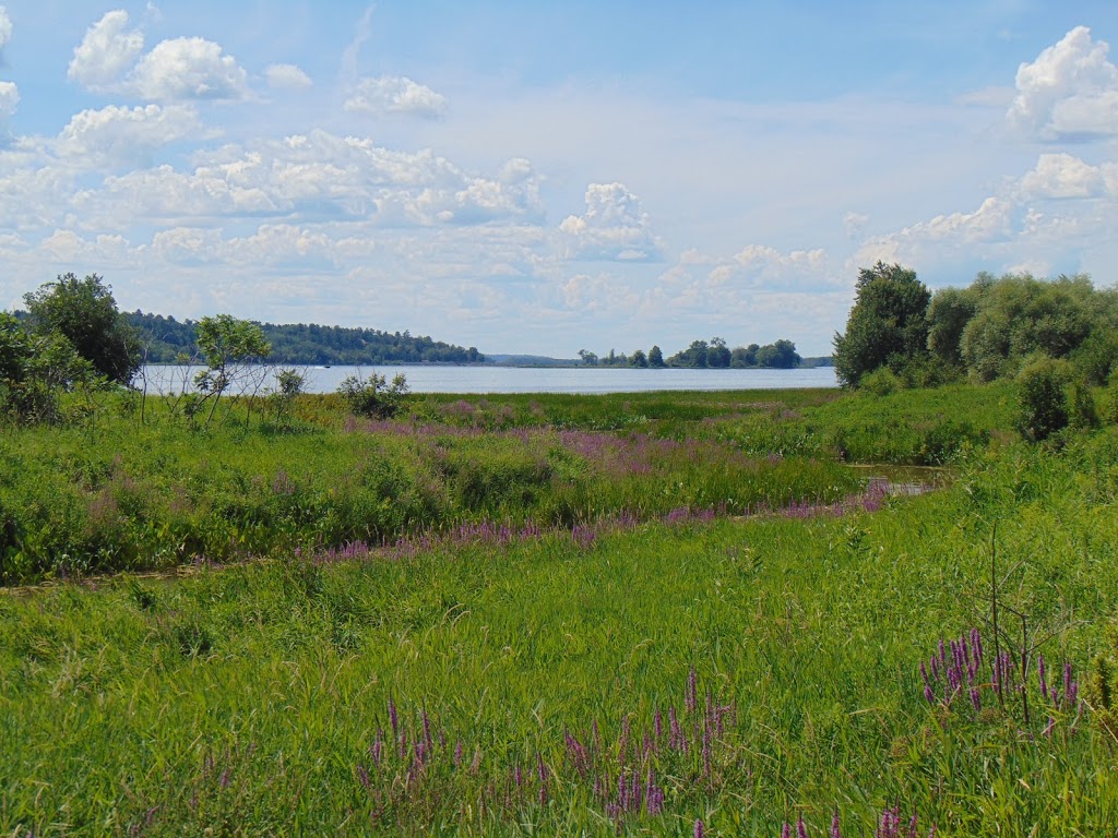 Parc national de Plaisance, secteur Thurso | Sentier des Outaouais, Thurso, QC J0X 3B0, Canada | Phone: (819) 427-5334