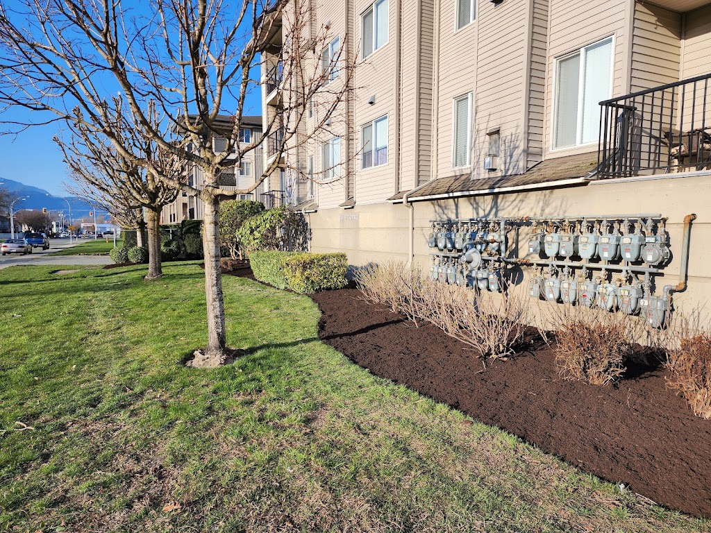L&j landscaping | 9232 202B St, Langley Twp, BC V1M 3Y2, Canada | Phone: (250) 826-6892