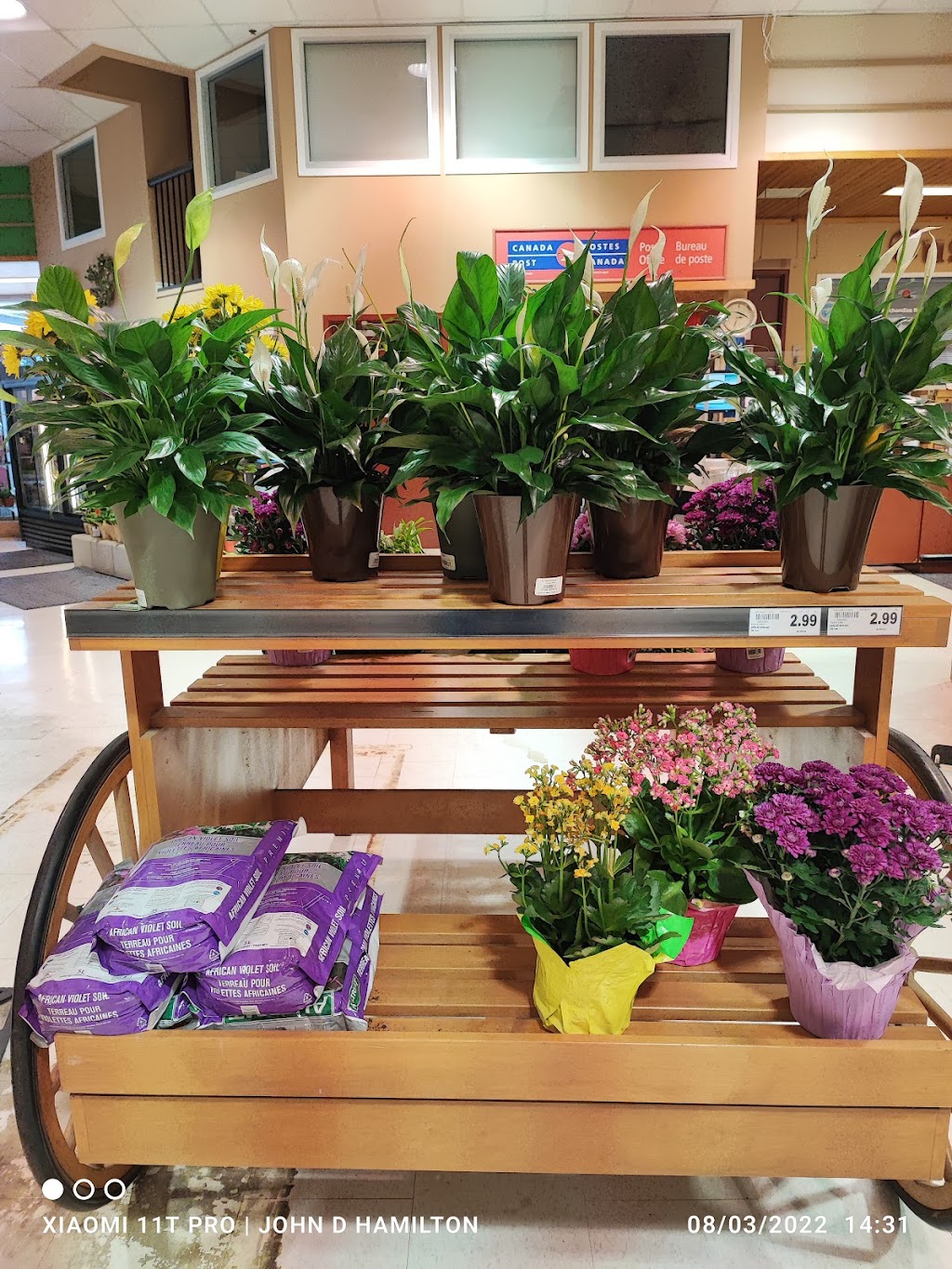 Metro Pembroke | 425 Pembroke St E, Pembroke, ON K8A 3L1, Canada | Phone: (613) 735-4136