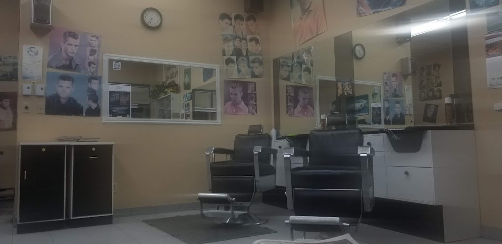 Dominico Paduano | 6126 Rue Jean-Talon E, Saint-Léonard, QC H1S 1M7, Canada | Phone: (514) 977-1680
