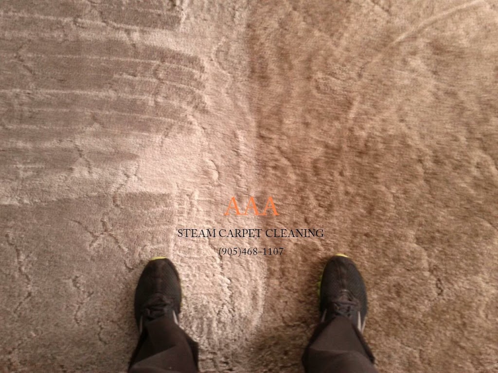 AAA Steam Carpet Cleaning Of Niagara | 1048 Line 1 RR#2, Niagara-on-the-Lake, ON L0S 1J0, Canada | Phone: (905) 468-1107