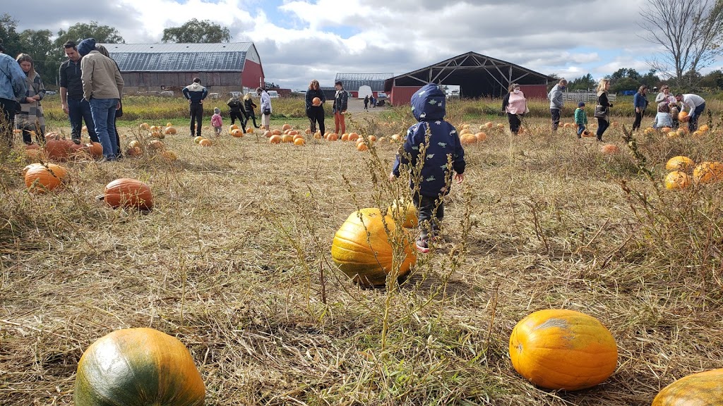 Willowbank U-Pick Farm | Starrs, 110 Starrs Point Loop, Port Williams, NS B0P 1T0, Canada | Phone: (902) 542-9153