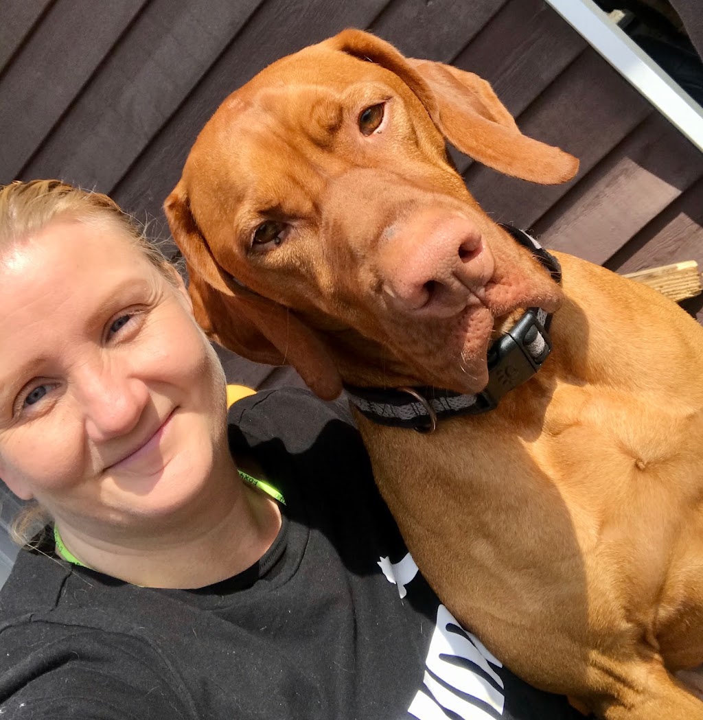 Tails & Trails Dog Daycare | 11860 Ladner Trunk Rd, Delta, BC V4K 3N3, Canada | Phone: (660) 910-4263