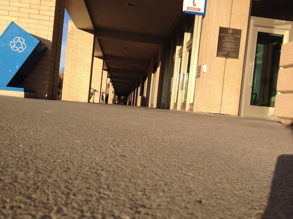 Faculty of Arts - MRU | 75 Mt Royal Cir SW, Calgary, AB T3E 0A3, Canada | Phone: (403) 440-6111