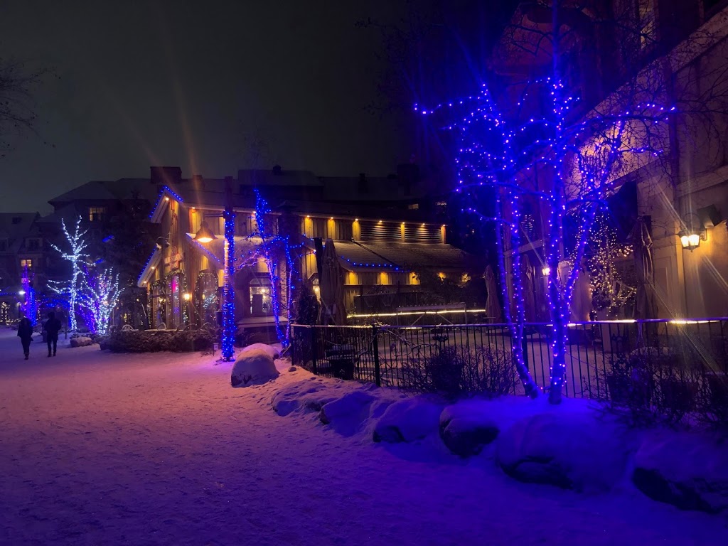 Open Air Gondola- Base | 150 Jozo Weider Blvd Unit AS8, The Blue Mountains, ON L9Y 0P7, Canada | Phone: (833) 583-2583