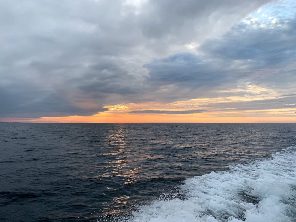 Aidens Deep Sea Fishing | 54 Harbourview Dr, North Rustico, PE C0A 1X0, Canada | Phone: (902) 963-3522