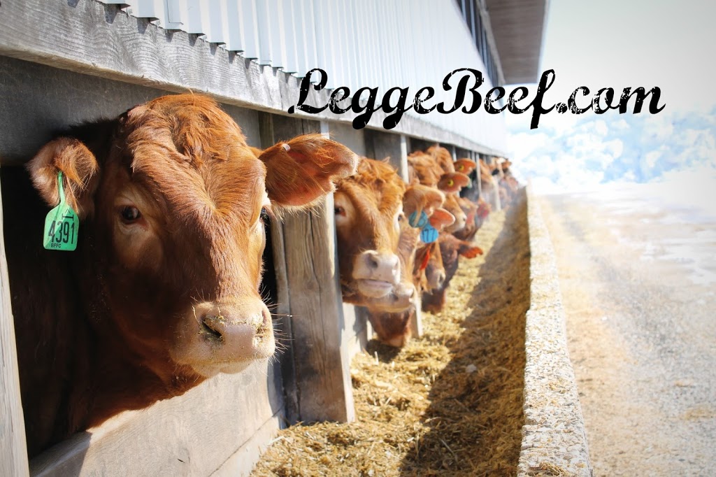 Legge Beef Farms | 8 Concession Rd 8 #474, Chesley, ON N0G 1L0, Canada | Phone: (519) 363-2075