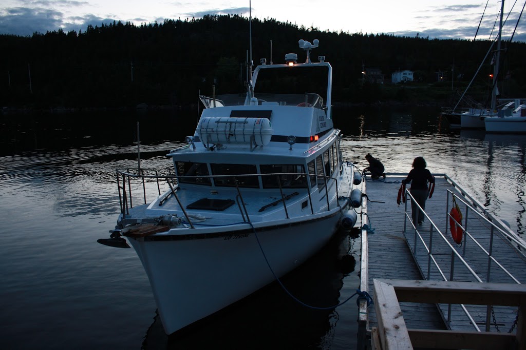 Coastal Connections | Northside Rd, Holyrood, NL A0G 2L0, Canada | Phone: (709) 730-2868