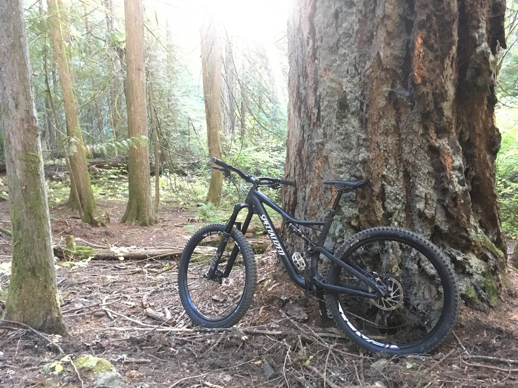 Canadian Outdoor Medical Consulting | 40523 Highlands Way North - POB 2932, Garibaldi Highlands, BC V0N 1T0, Canada | Phone: (604) 935-0864
