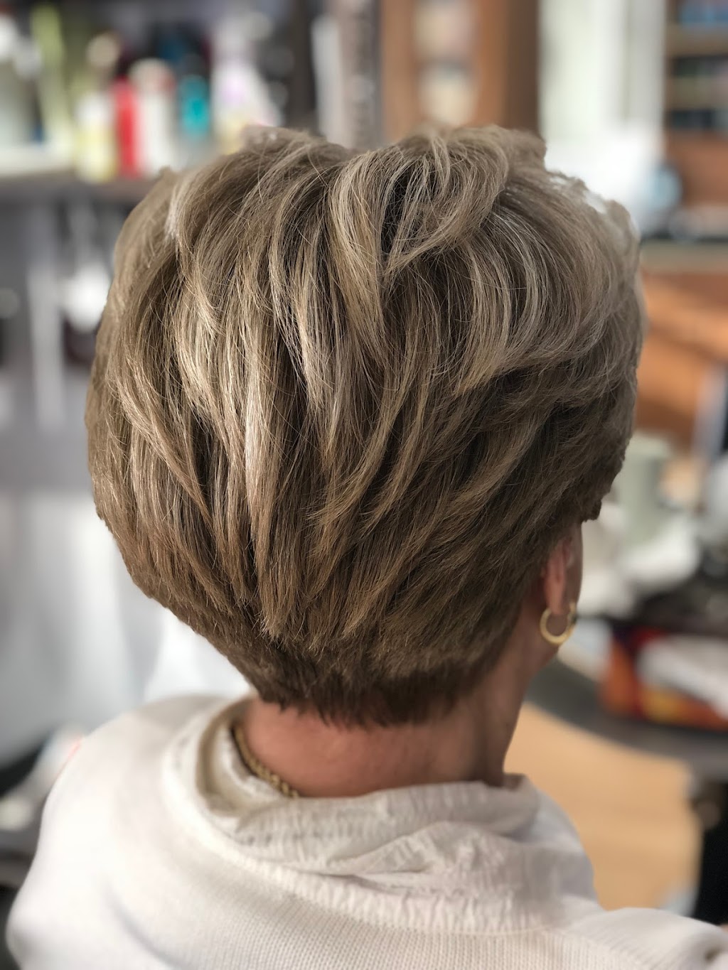 Salon HairRaisers | 63a Ave Donegani, Pointe-Claire, QC H9R 2V9, Canada | Phone: (514) 426-5816