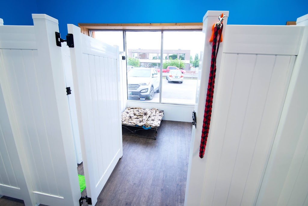 Happy Tails Pet Resort & Spa | 596 St Annes Rd, Winnipeg, MB R2M 3G7, Canada | Phone: (204) 416-7387