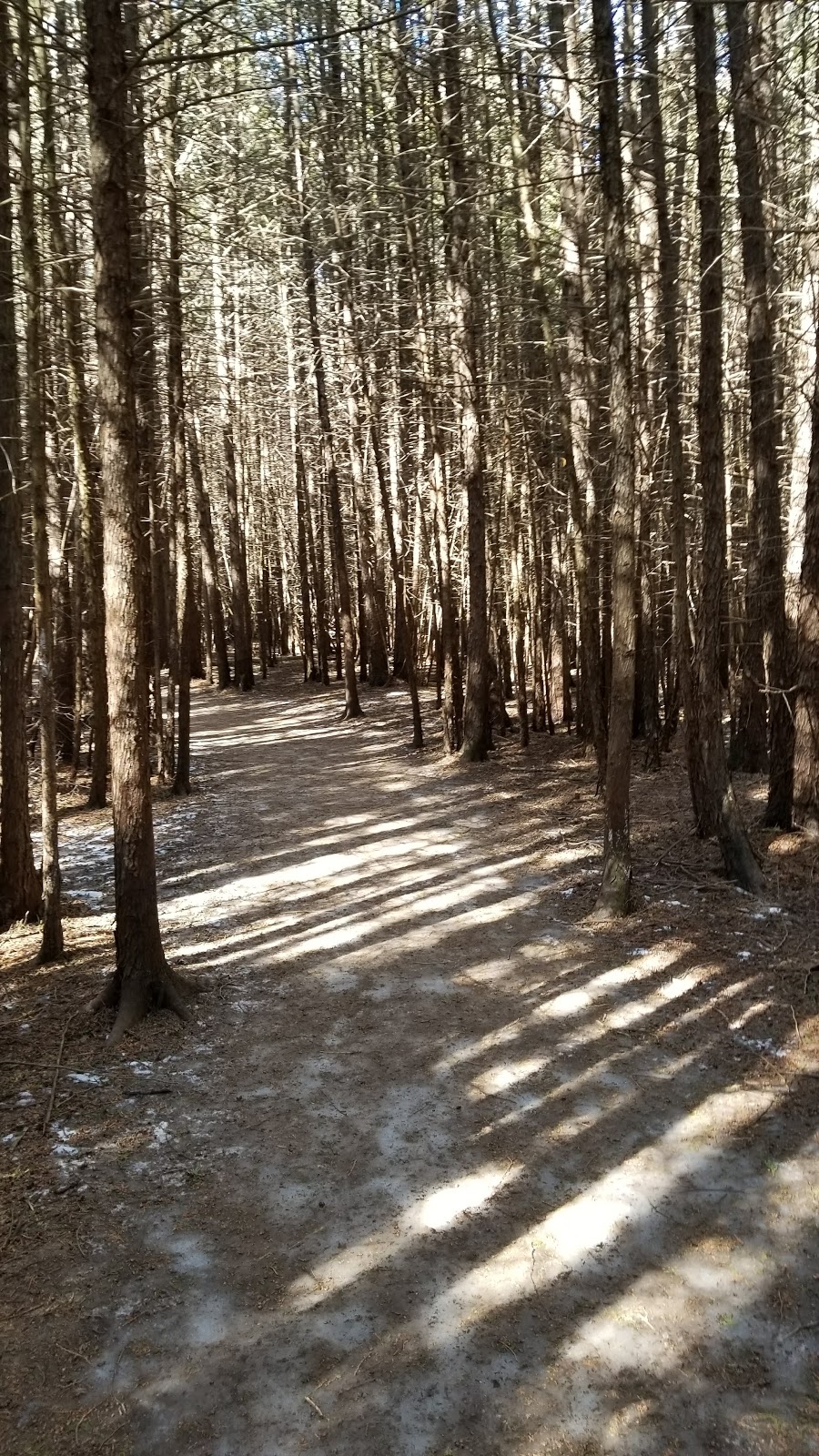 Preservation Park | 226 Kortright Rd W, Guelph, ON N1G 4Y9, Canada
