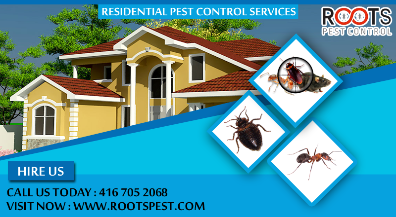 Roots Pest Control | postal code, 475 Bramalea Rd Unit #183, Brampton, ON L6T 2X3, Canada | Phone: (416) 705-2068