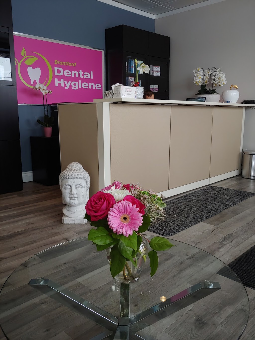 Brantford Dental Hygiene | 84 Charing Cross St unit 7, Brantford, ON N3R 2H6, Canada | Phone: (519) 304-8484