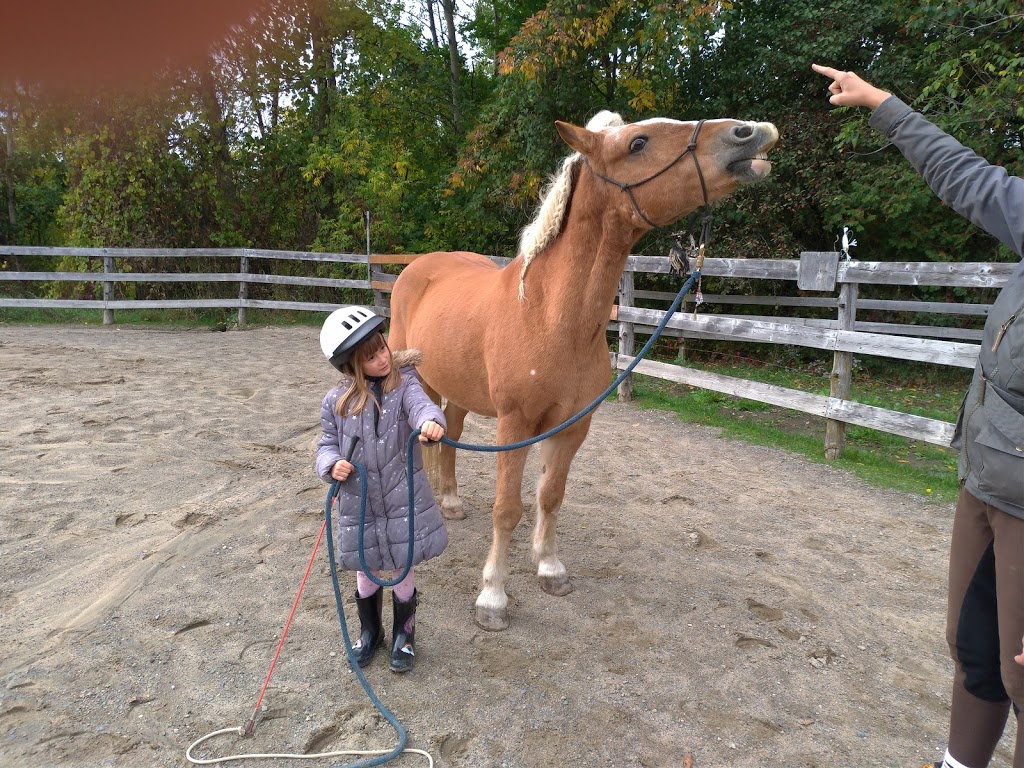 Punkin Patch Farm | 338 Chemin du Petit-Brûlé, Rigaud, QC J0P 1P0, Canada | Phone: (450) 451-1158