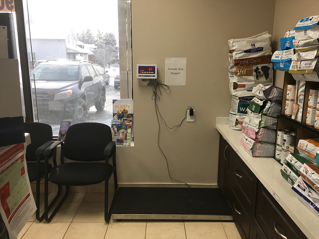 Simcoe Rossland Animal Hospital | 58 Rossland Rd W, Oshawa, ON L1G 2V5, Canada | Phone: (905) 571-7333