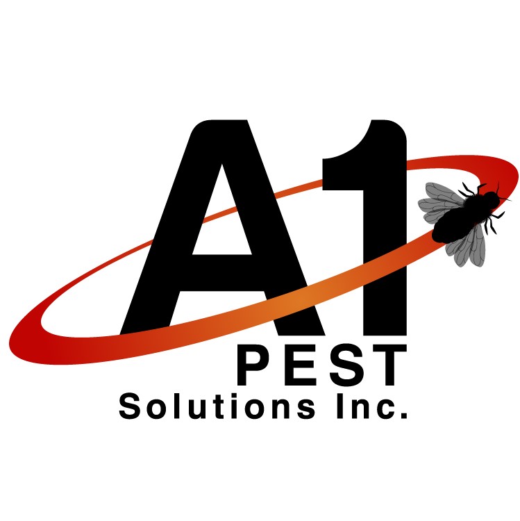 A1 Pest Solutions Inc | 80 Boys Rd Unit 3, Winnipeg, MB R2C 2Z2, Canada | Phone: (204) 292-2120